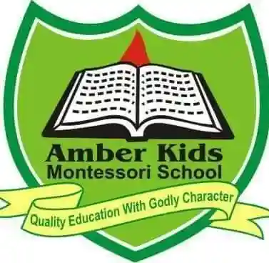 Amber Kids School logo