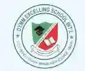 Dymm Excelling School International logo