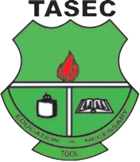 Taviefe Senior High School logo