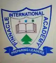 Pinnacle International Academy logo