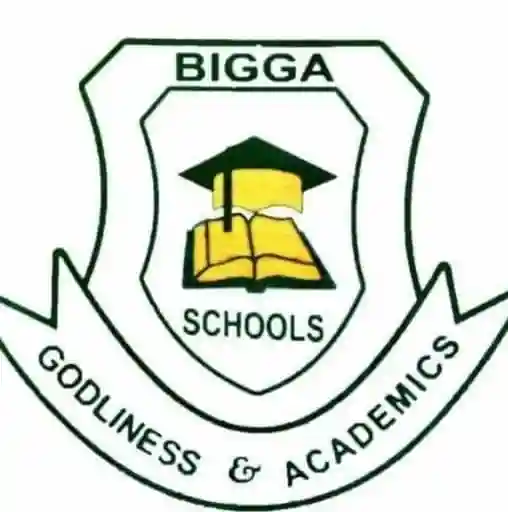 Bigga Schools logo
