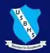 Unique standard bearer montessori school logo