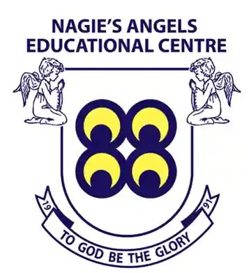 Nagies Angels Educational Centre Basic School logo