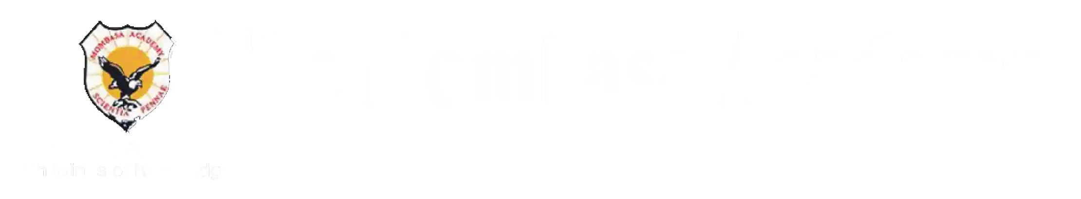 The Mombasa Academy logo