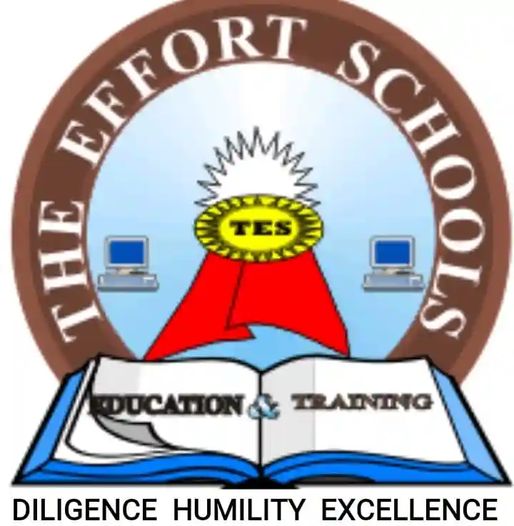 Effort Junior School Kerugoya logo