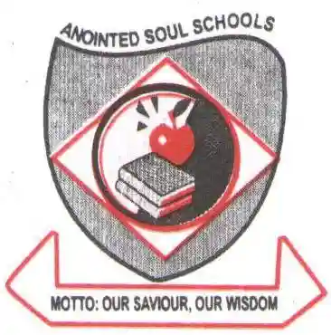 Anointed Soul Schools logo