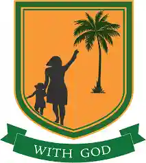 Virgin Kids Academy logo