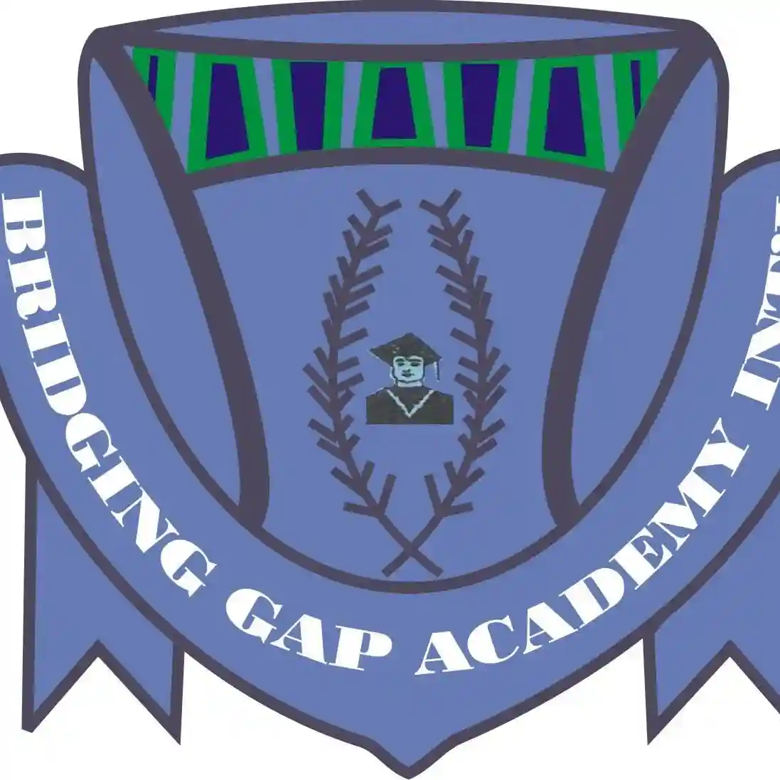 Bridging Gap Academy logo