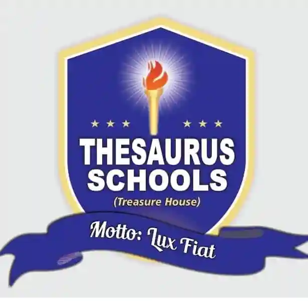 Thesaurus Schools Enugu logo