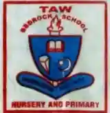 Taw Bedrock School logo