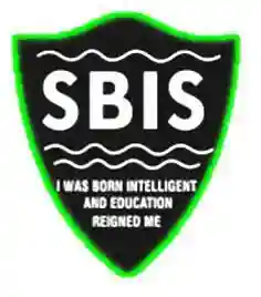 Smart Brains International School, Madina logo