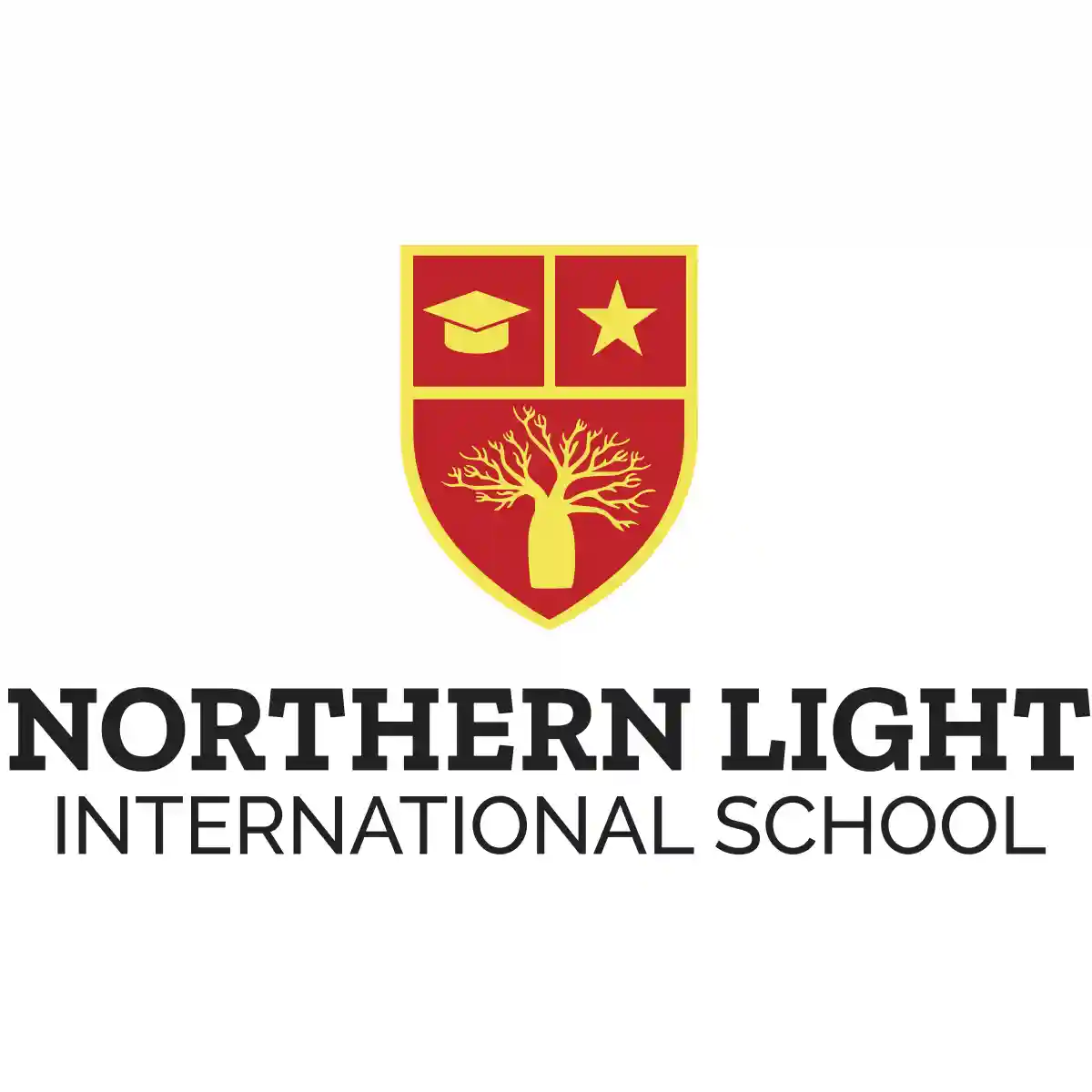 Northern Light International School, Tamale logo