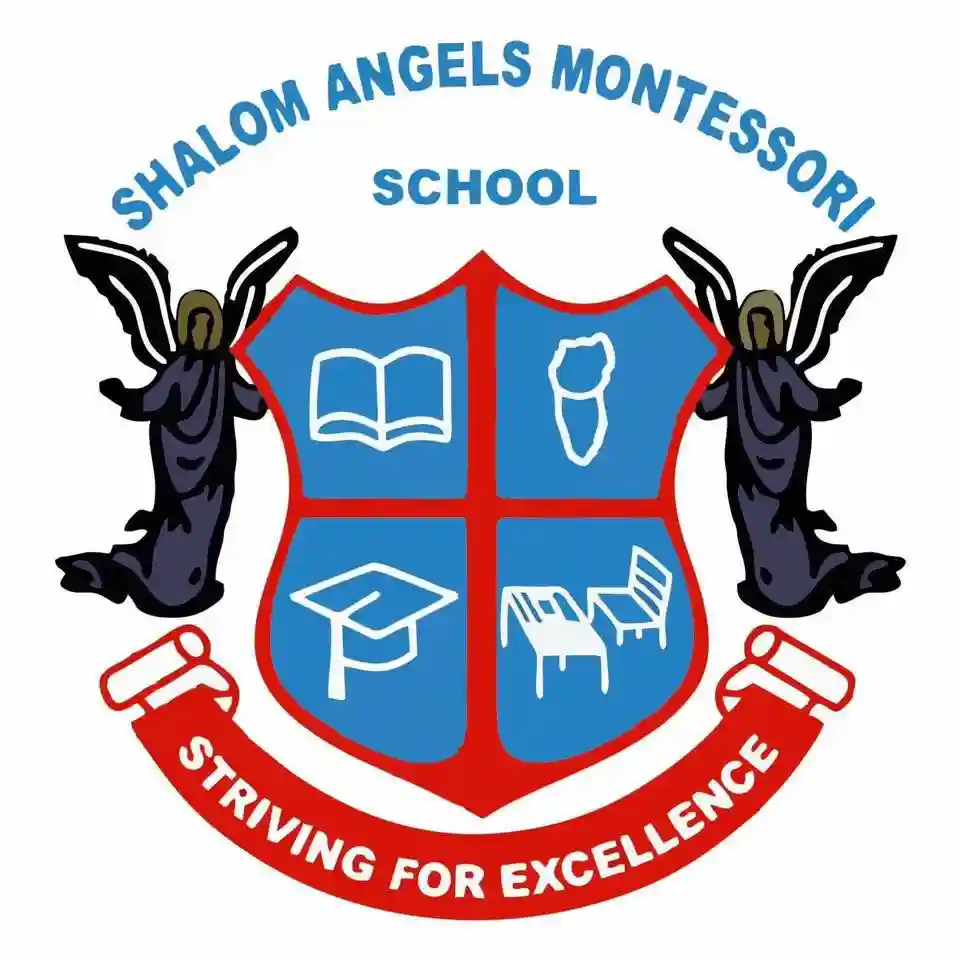 Shalom Angels Montessori School logo