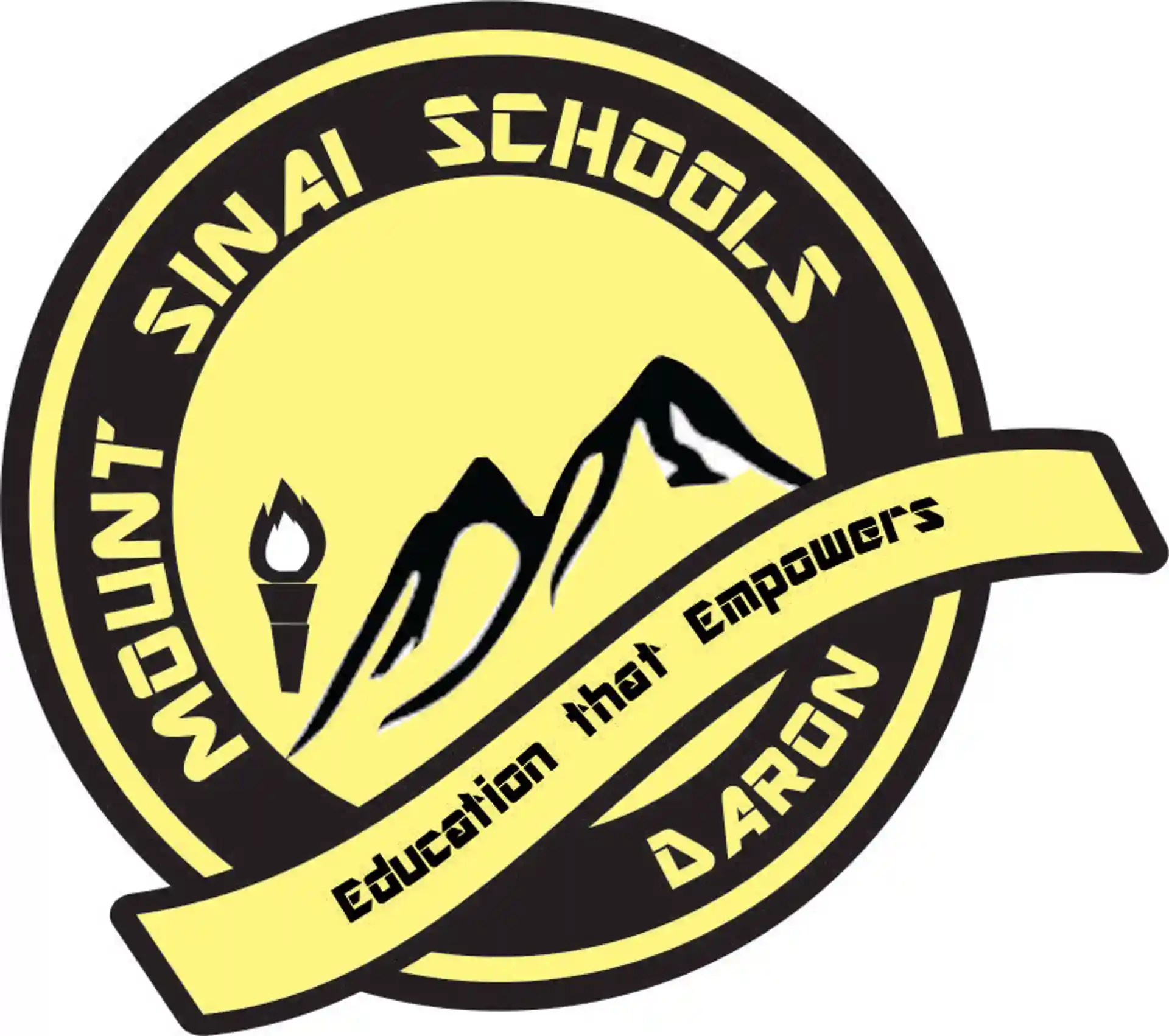 Mount Sinai Schools logo
