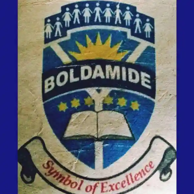 Boldamide schools logo