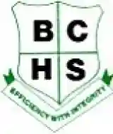 Bamfem School logo