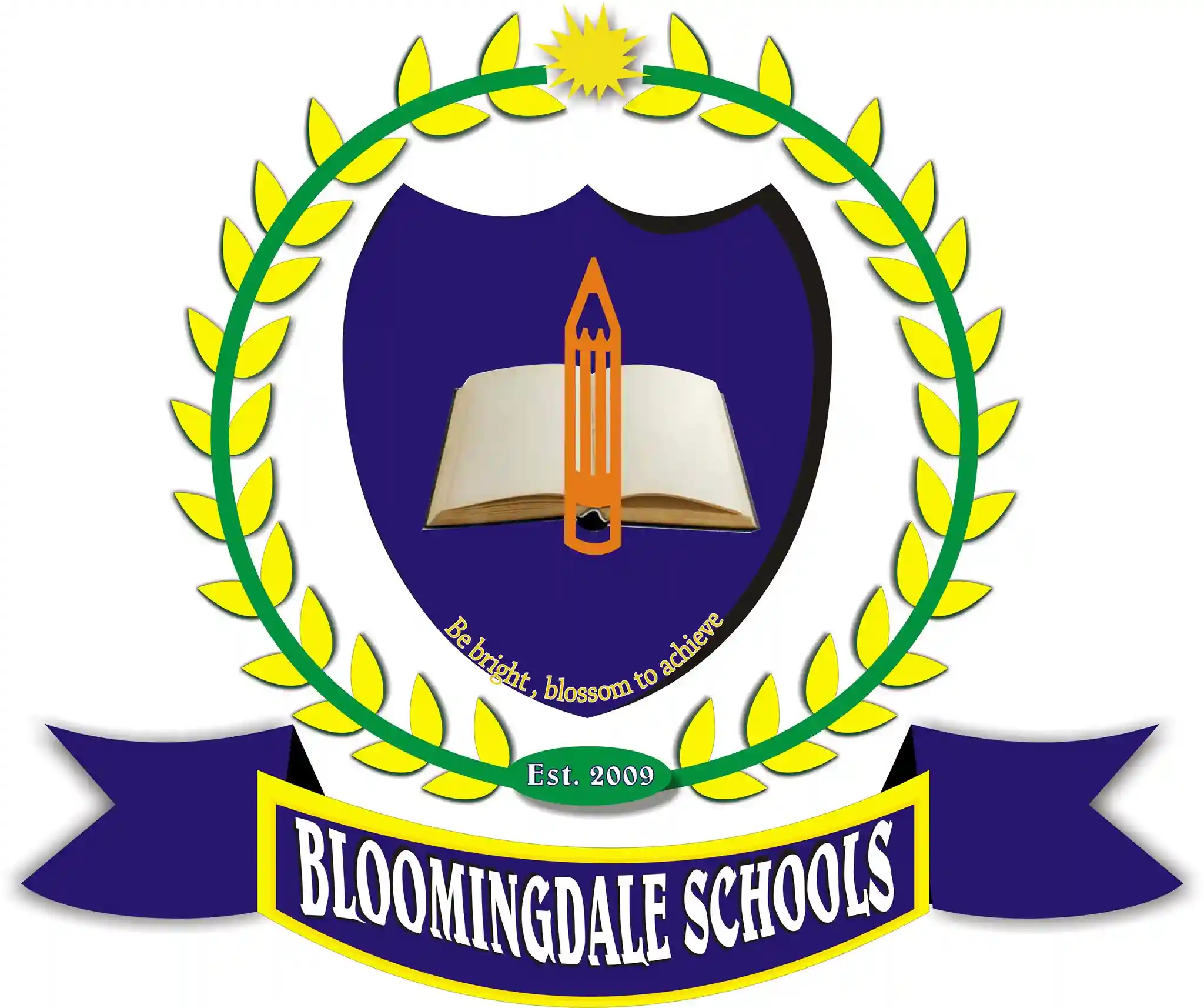 Bloomingdale Schools logo