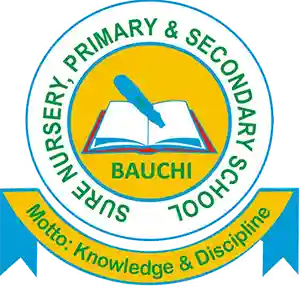 Sure Nursery, Primary and Secondary school logo