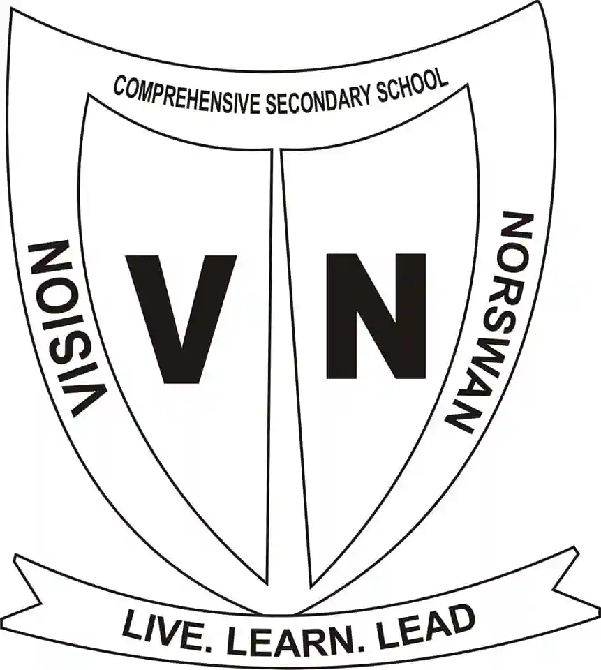Vision Norswan Group Of School logo