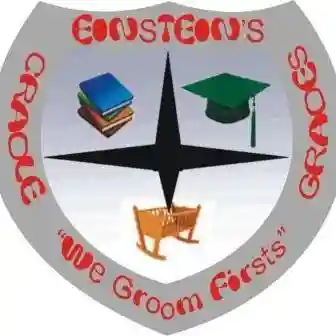 Einstein's Cradle & Grades logo