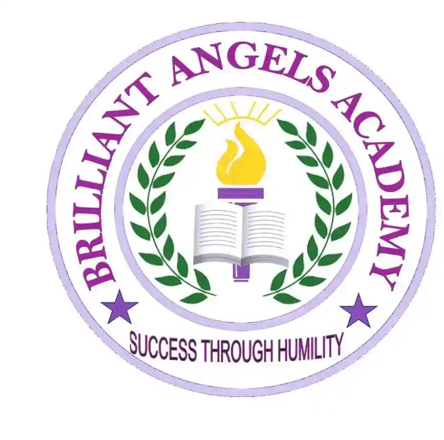 Brilliant Angels Academy Naivasha logo