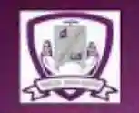 Silver Slate Schools logo