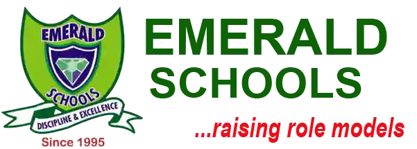 Emerald Nursery & Primary School logo