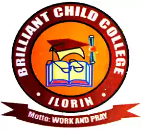 Brilliant Child Group Of Schools, Ilorin logo