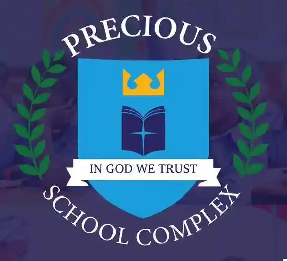 Precious School Tema logo