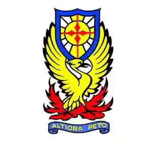 St Andrew's School, Turi logo