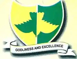 Redeemers International School, Yenagoa logo