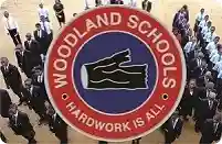 Woodland Hills High School logo