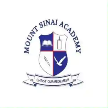 Mount Sinai Academy Ghana logo