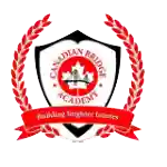 Canadian Bridge Academy, Abuja logo
