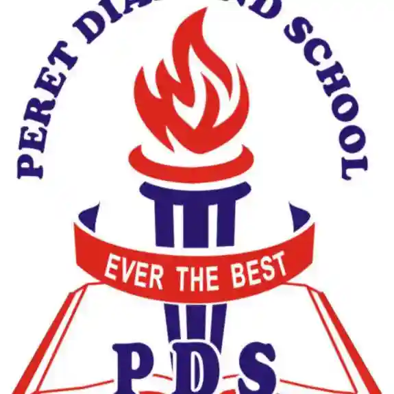 Peret Diamond School Lagos logo