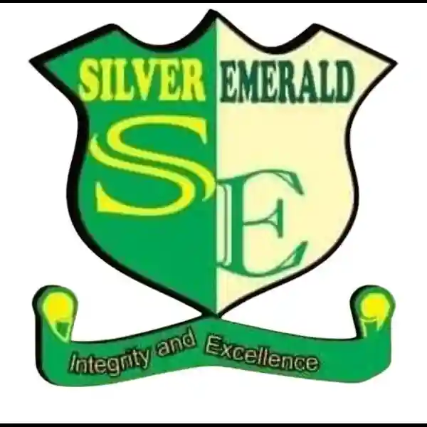 SILVER EMERALD COLLEGE logo