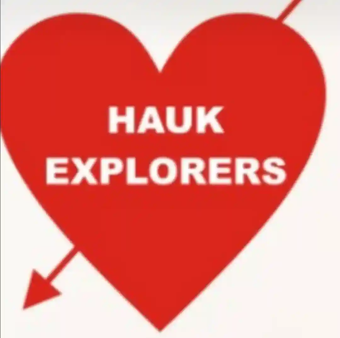 Hauk Explorers Schools logo