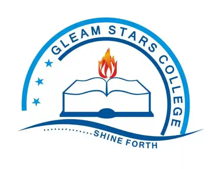 Gleam Stars Schools logo