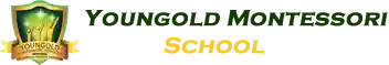 Youngold Montessori Schools logo