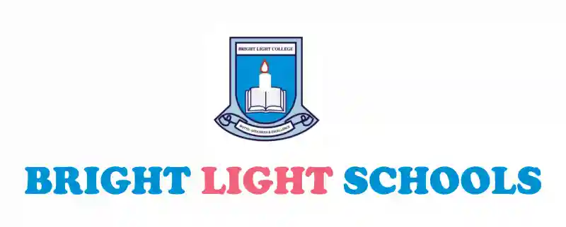 Bright Light Schools logo