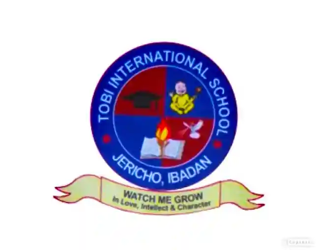 Tobi International Group of Schools logo