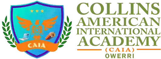 Collins American International Academy logo