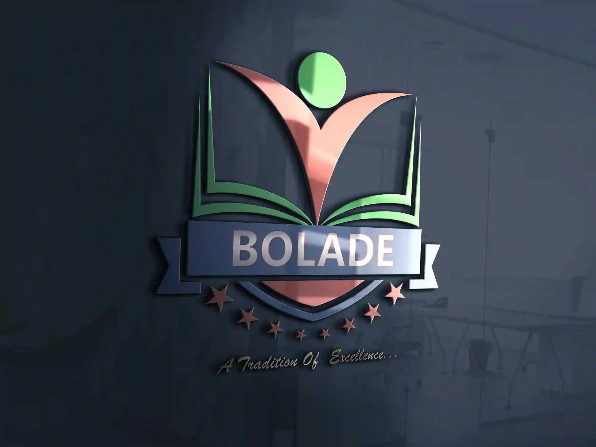 Bolade Schools, Lagos logo