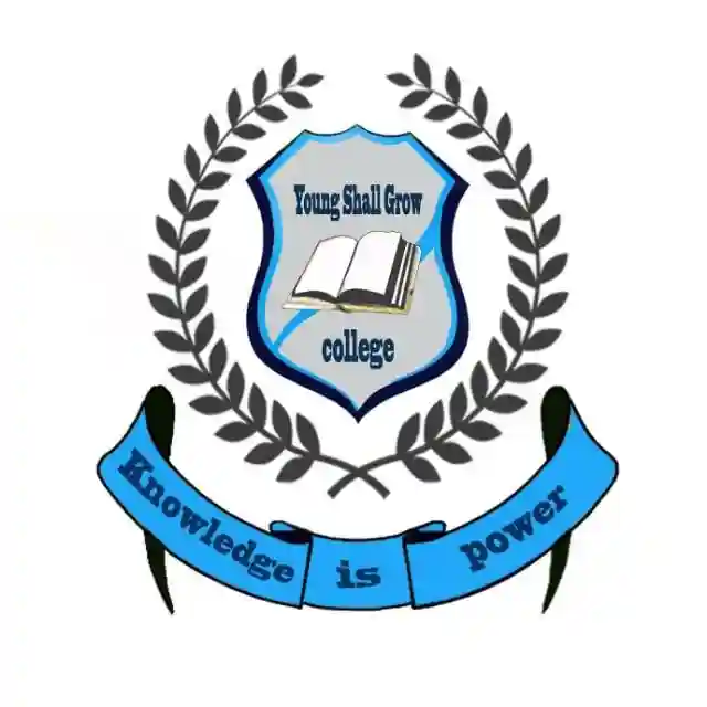 Young Shall Grow Schools, Lagos logo