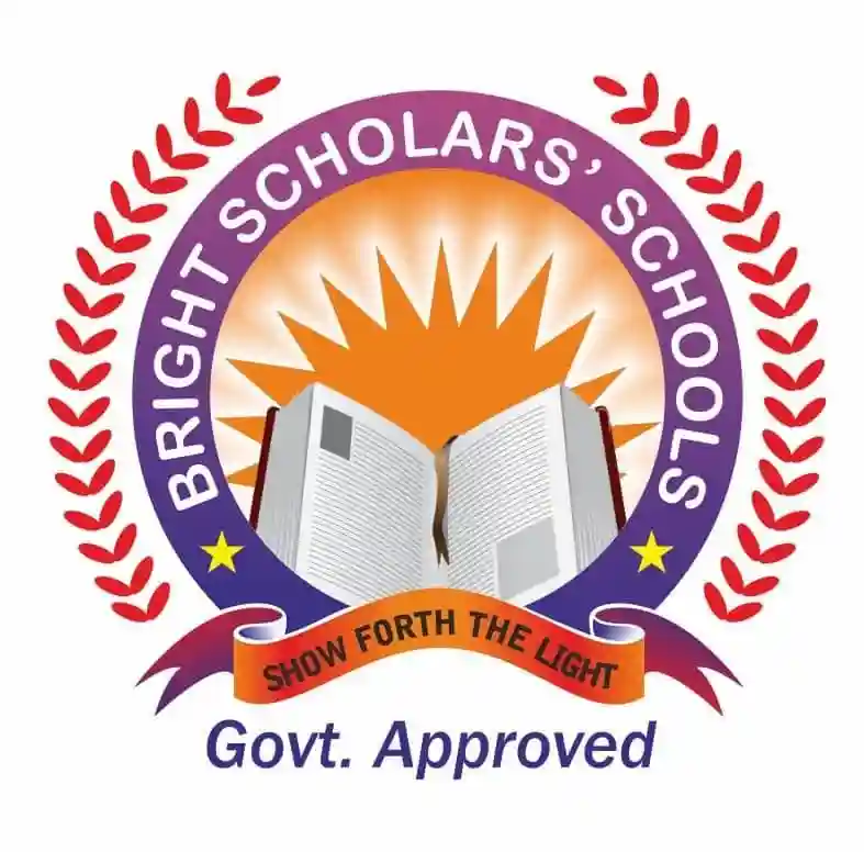 Bright Scholars Schools, Abuja logo