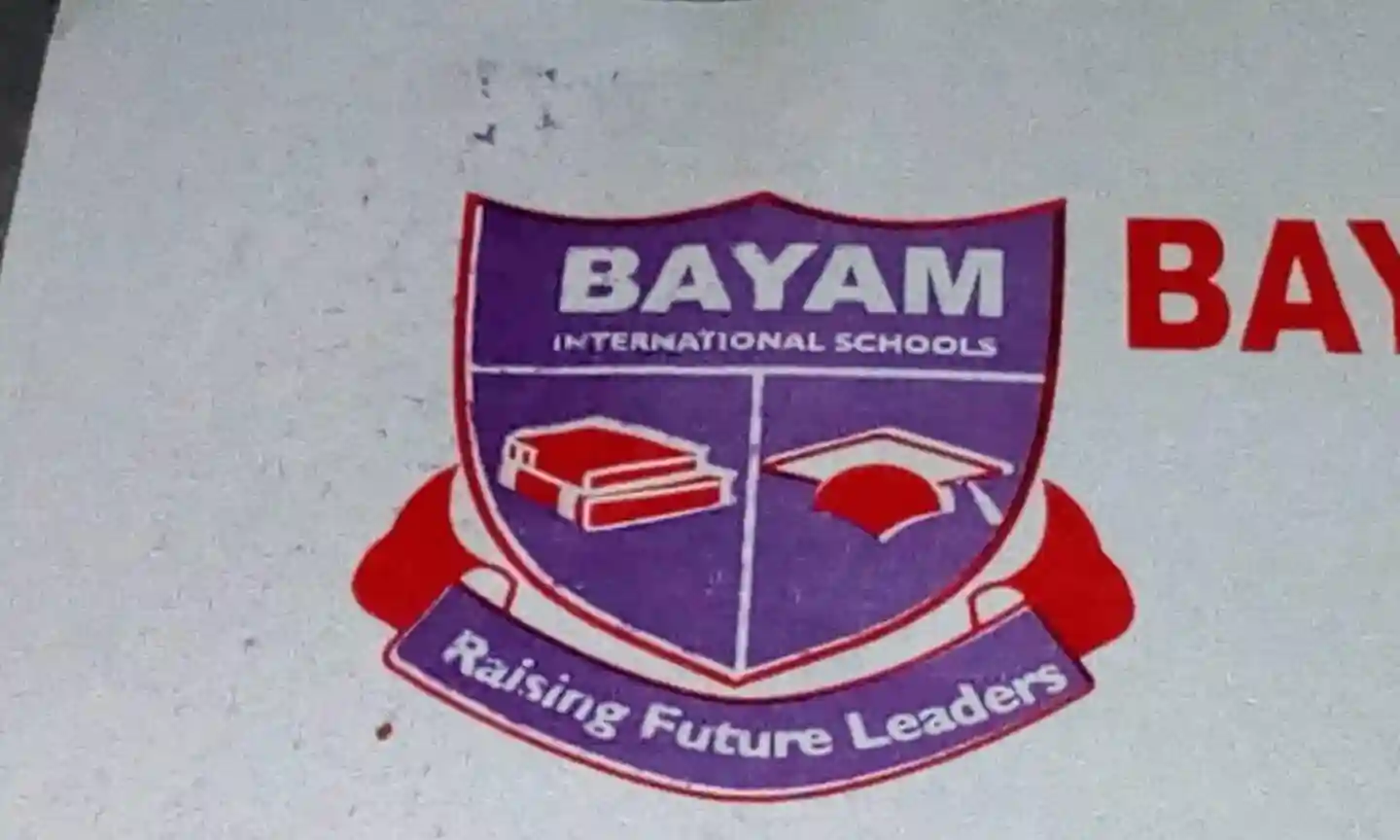Bayam International Schools logo
