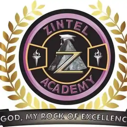 Zintel Academy logo
