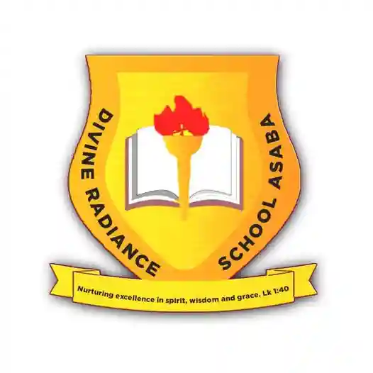 divine radiance school asaba Secondary/High School logo
