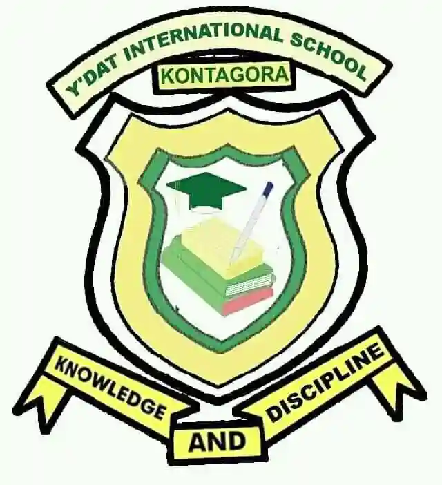 Y'DAT International School logo