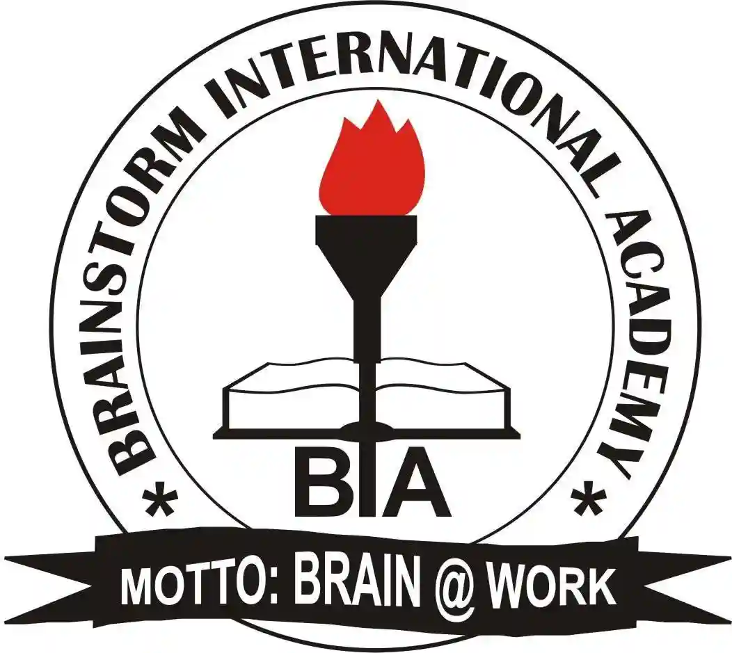 Brainstorm International Academy logo